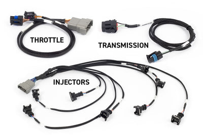 Haltech Nexus Rebel LS ECU and Harness Kit | Gen III