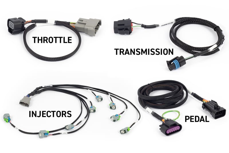 Haltech Nexus Rebel LS ECU and Harness Kit | Gen IV