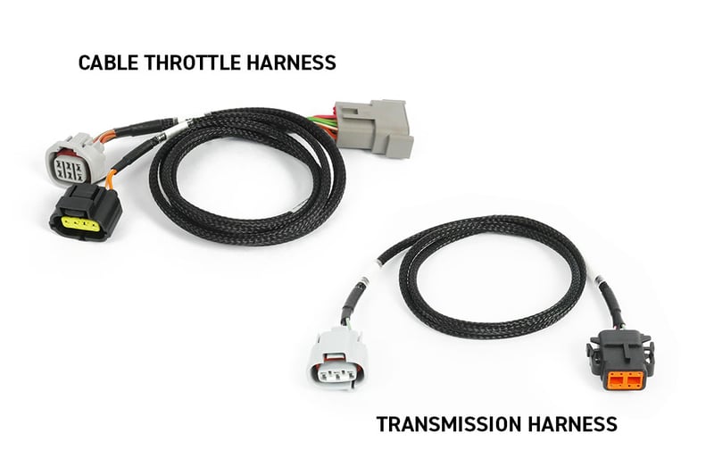 Haltech Nexus Rebel JZ ECU and Harness Kit